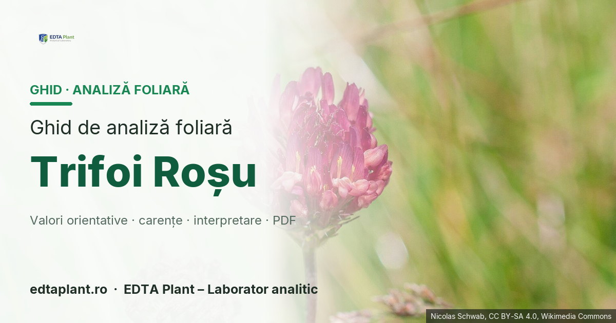 Trifoi Roșu (Trifolium pratense L.) — ghid de analiză foliară EDTA Plant