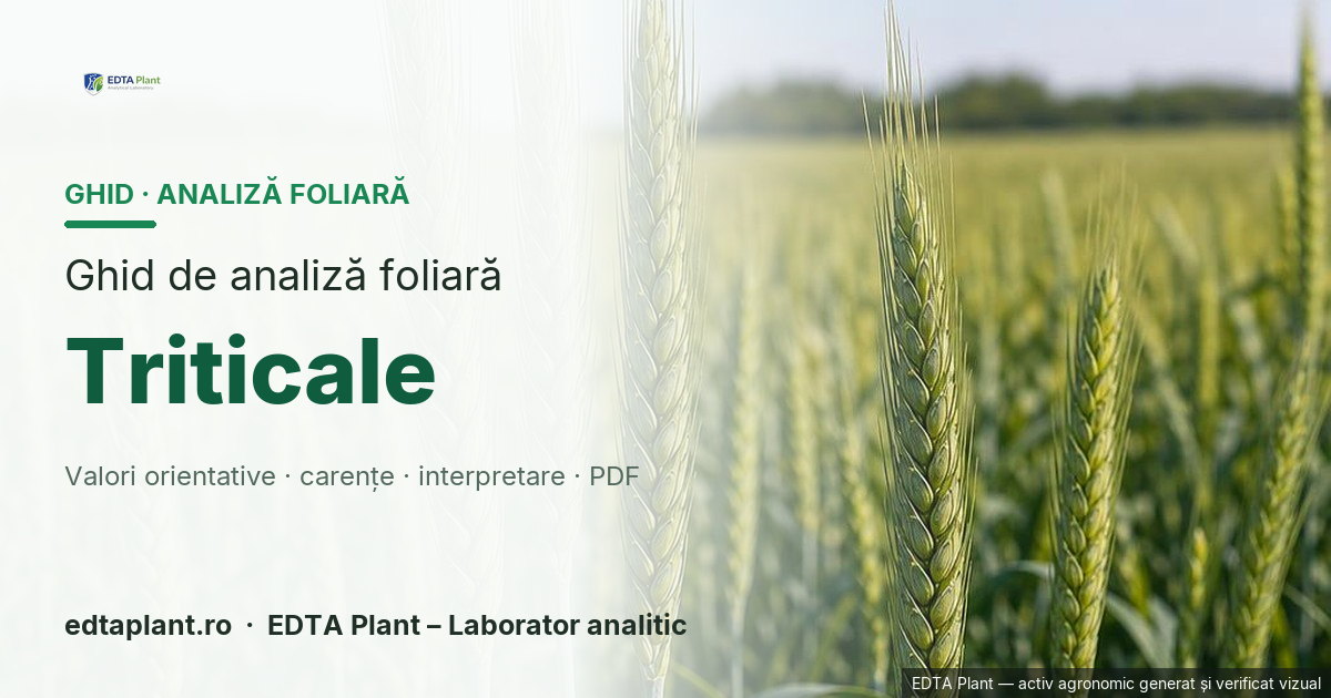 Triticale (× Triticosecale spp.) — ghid de analiză foliară EDTA Plant