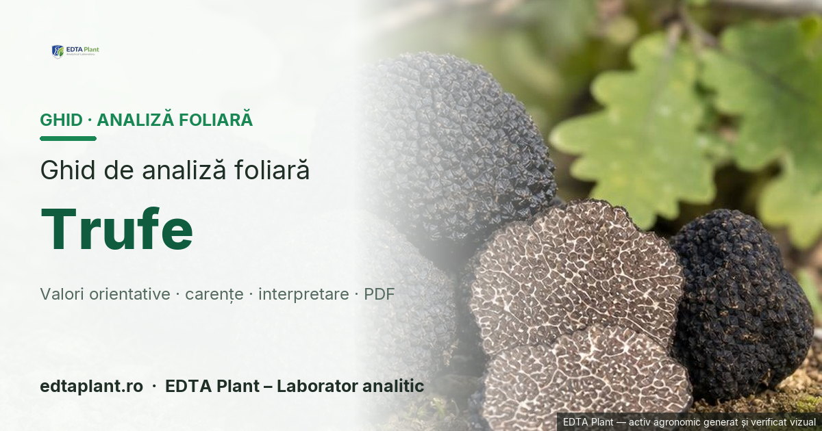 Trufe (Tuber melanosporum Vittad. / Tuber aestivum — fungi ectomicorizieni; profil numeric validat pe T. melanosporum + gazdă Quercus, T. aestivum separat) — ghid de analiză foliară EDTA Plant