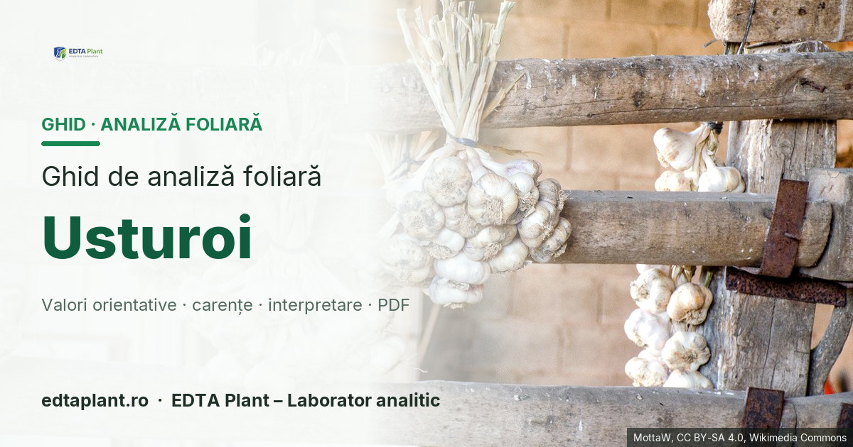 Usturoi (Allium sativum L.) — ghid de analiză foliară EDTA Plant