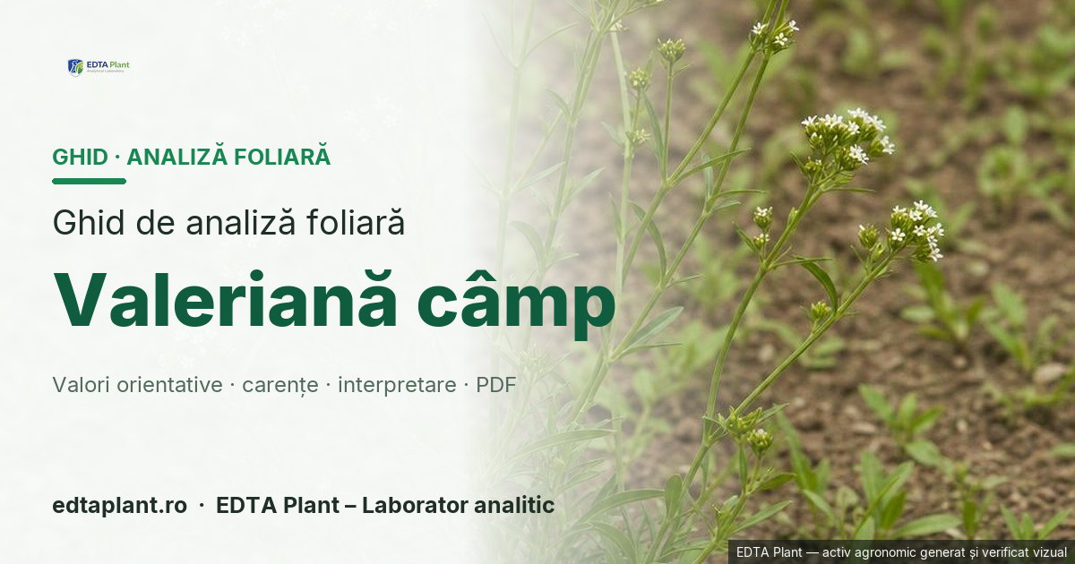 Valeriană câmp (Valerianella locusta (L.) Laterr. — dacă acesta este profilul) — ghid de analiză foliară EDTA Plant