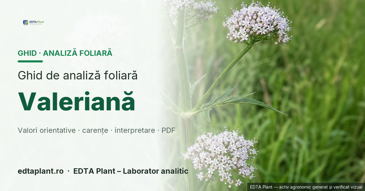 Valeriană (Valeriana officinalis L.) — ghid de analiză foliară EDTA Plant