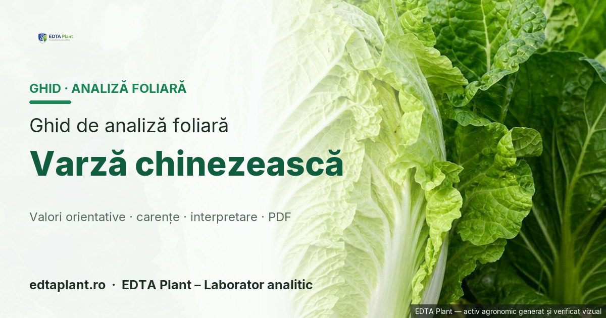 Varză chinezească (Brassica rapa subsp. pekinensis) — ghid de analiză foliară EDTA Plant