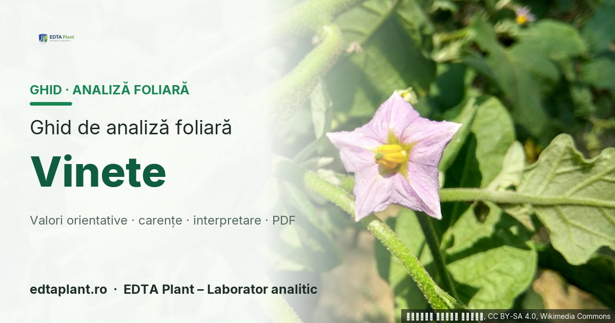 Vinete (Solanum melongena L.) — ghid de analiză foliară EDTA Plant