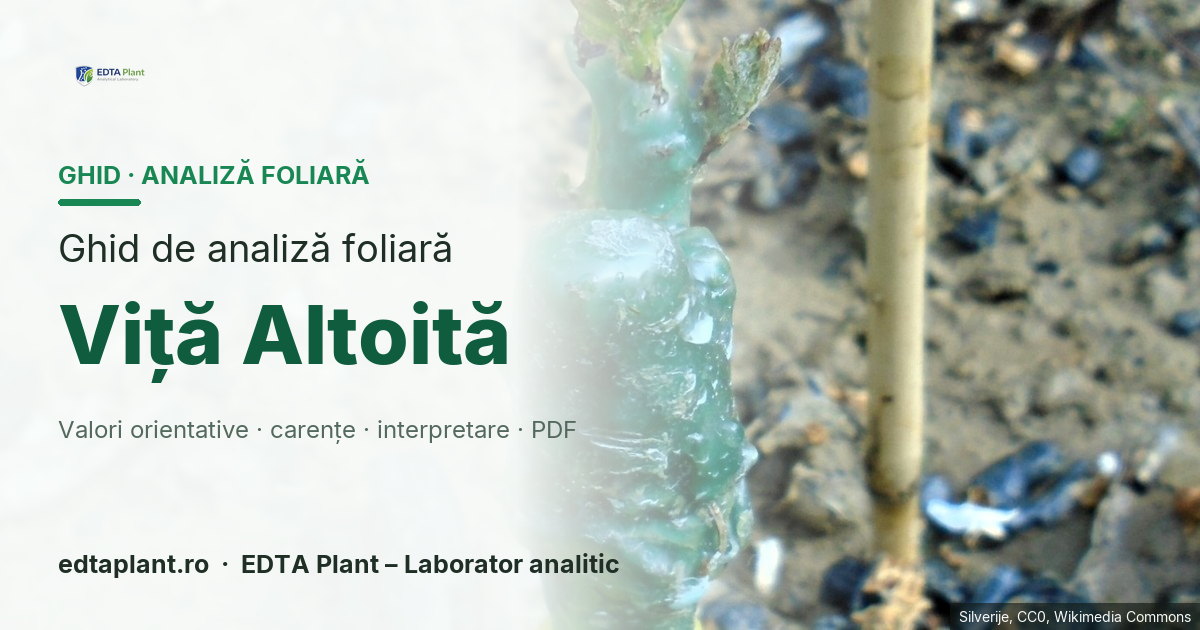 Viță Altoită (TAXON DE CONFIRMAT) — ghid de analiză foliară EDTA Plant