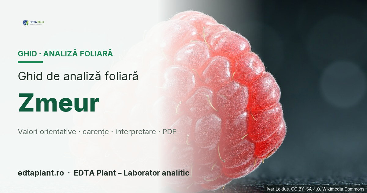 Zmeur (Rubus idaeus L.) — ghid de analiză foliară EDTA Plant