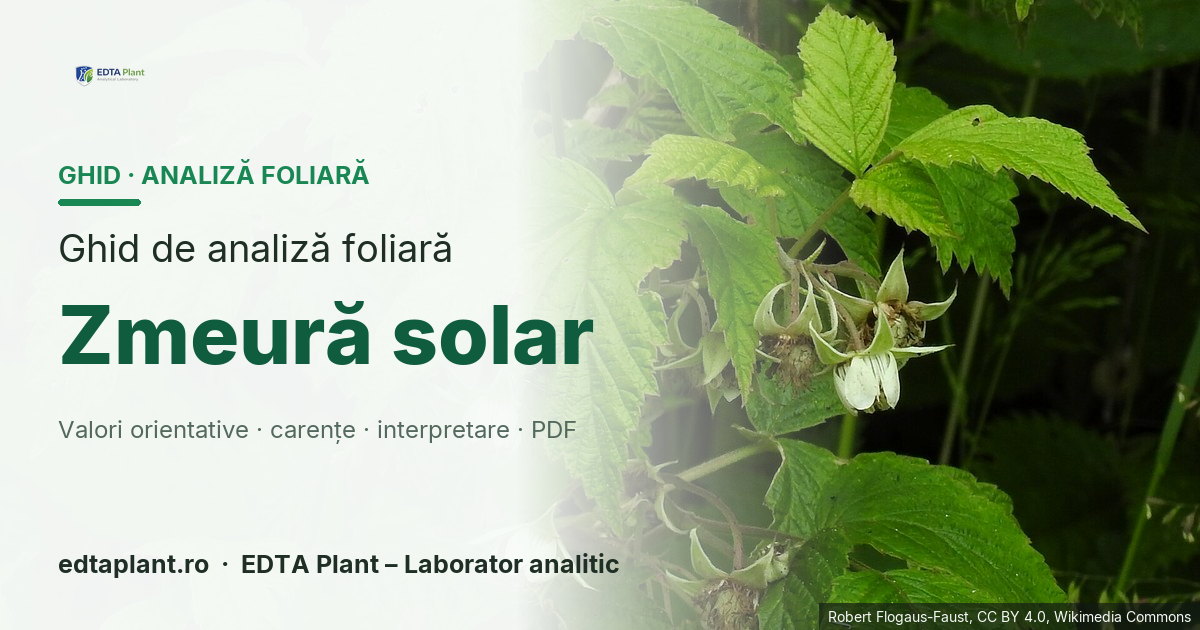 Zmeură solar (Rubus idaeus L.) — ghid de analiză foliară EDTA Plant